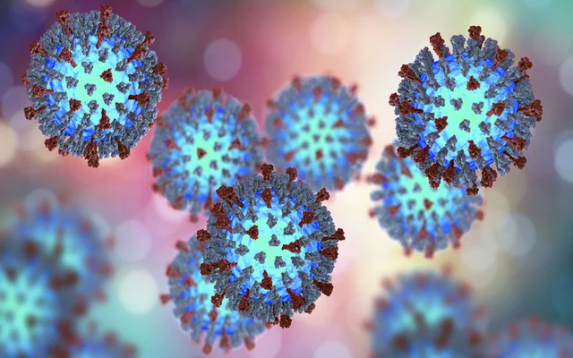 Health warning: 75 cases of measles proven in Rockland surroundings