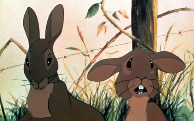 On the real Watership Down, rabbits are hard to come by