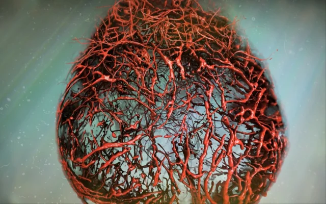Scientists for the first time make flawless blood vessels in a Petri dish