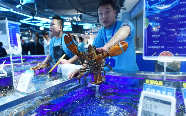 Alibaba is preparing a bet on "Fresh retail" in order to remain cheerful against the background of China's containment