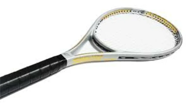 Carbon fiber tennis racket 2019 market: mass analysis of players-Wilson, Babol, Dunlop, skates, Tecnifibre, head, Prince, Yonex, gamma Sport